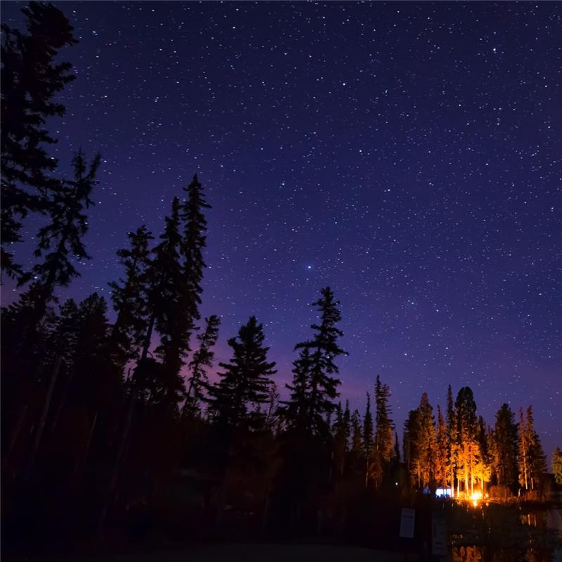 A dark purple night sky is illuminated by pin-pricks of stars, and the golden glow of a campfire in the distance.